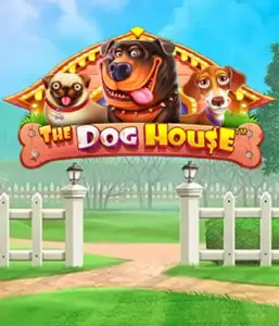 From Pragmatic Play comes The Dog House adventure, bringing you a fun-filled experience through lovable dogs. Engage in gameplay elements including free spins, aimed at providing exciting wins. Perfect for pet lovers a lighthearted setting alongside lucrative rewards.