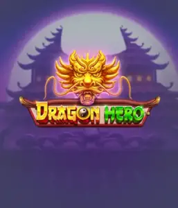 Enter a fantastic quest with Dragon Hero by Pragmatic Play, highlighting stunning graphics of ancient dragons and heroic battles. Discover a world where legend meets excitement, with featuring treasures, mystical creatures, and enchanted weapons for a captivating gaming experience.